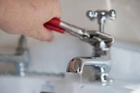 من رأى أنه يأكل لحم الأسد: Ø§Ù„ØµÙ†Ø¨ÙˆØ± ÙŠÙ‚Ø·Ø± Ù…Ø§ ÙŠØ¬Ø¨ Ø§Ù„Ù‚ÙŠØ§Ù… Ø¨Ù‡