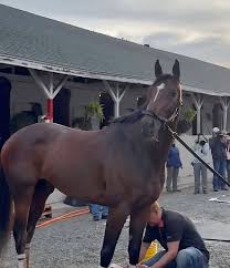 Cherie DeVaux became the first woman to train the horse that went on to win  the Kentucky Derby as her horse, Golden Tempo, rallied from last to first  on Saturday.