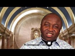 Homily for 4th Sunday of Easter Year C 2025 by Fr Emmanuel Ochigbo