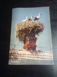 Kostenlose lieferung für viele artikel! Ratgeber Fur Haus Und Familie Buch Antiquarisch Kaufen A02u8yzq01zz4