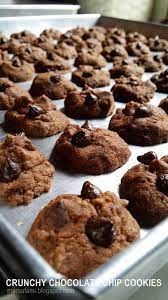 Mamafami S Spice N Splendour Crunchy Chocolate Chips Cookies Crunchy Chocolate Chip Cookies Chocolate Chip Cookies Hazelnut Recipes