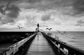 Check spelling or type a new query. 15 Amazing Black White Landscape Photos That Will Leave You In Awe Photzy