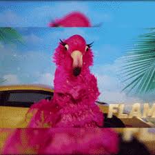 Https Encrypted Tbn0 Gstatic Com Images Q Tbn And9gctoloz2awx4on7y2eozcfbyzhldxef Ro 8qg Usqp Cau Added 5 years ago xamber in funny gifs. 2