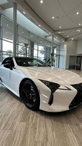 Image result for Polar Surge Satin 2024 LC