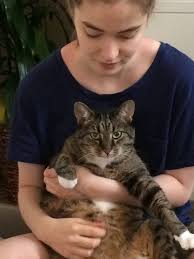 The story of Jake the tuxedo kitty is incomplete. When my mom first met  him, he was living in a neighbor's house, a sweet older lady. The story we  heard is that