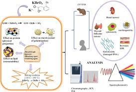 Potassium Bromate Effects On Bread Components Health Environment And Method Of Analysis A Review Sciencedirect