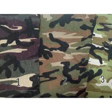 Ormas dengan pakaian loreng oranye ini semakin terlihat kemajuannya. Kain Loreng