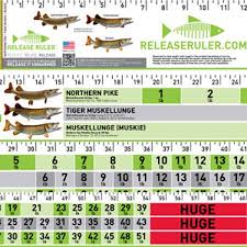 release ruler pike muskie combo walmart com