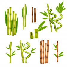 Download Green Bamboo Decorative Elements For Free Adventure Artwork Elements Illustration Software