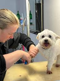 Martina Machner Tina's Hundesalon