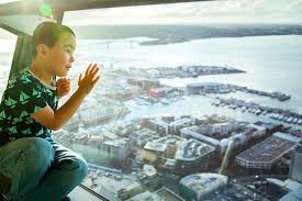 The tower has 3 viewing platforms and is the tallest man made structure in new zealand. Sky Tower Normaler Eintritt In Auckland 2021