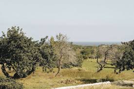 This is the official version of wild temagami. 20 Best Other Retreats In Temagami With Real Reviews Bookretreats