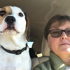 What type of hitch is best for a Puma 12FBX camper?