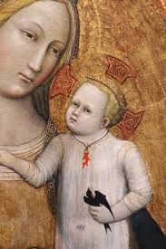 sea art and sun: Photo