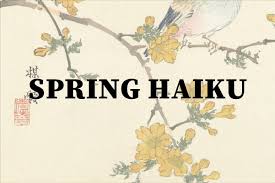Spring Haiku