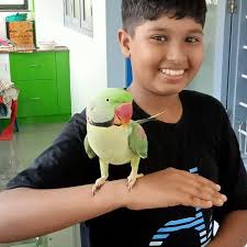 Maria Samini in people