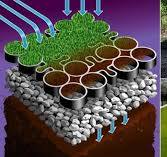 Grass Stabilisation Grid - Drivable Grass Pavers - Driveways ...