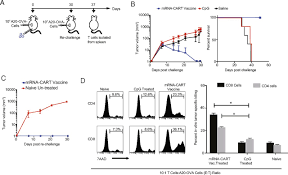 Maybe you would like to learn more about one of these? Mrna Vaccination With Charge Altering Releasable Transporters Elicits Human T Cell Responses And Cures Established Tumors In Mice Pnas