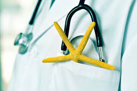 Krank Im Urlaub Was Zu Beachten Ist Der Standard Jobs