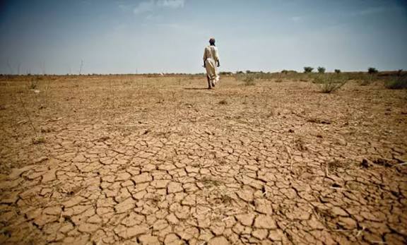 Drought: What next after El Niño? La Niña?