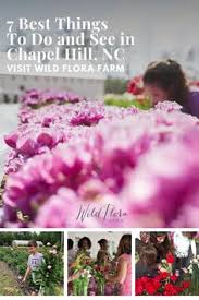 To connect with chapel hill, tennessee, join facebook today. 110 Chapel Hill North Carolina Things To Do Ideas In 2021 Chapel Hill Chapel North Carolina