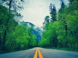 A regular spiritual practice is key for most people to break out of unhealthy ego patterns and ignorance. Start Your Spiritual Journey To Find Inner Peace Tera Mangala Meditation Music Insight Timer