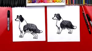 Vector isolated outline drawing stock vector image & art. How To Draw A Border Collie Art For Kids Hub