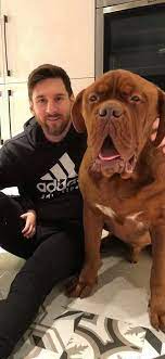 While messi is the current captain of both teams, he is… Footballers With Animals On Twitter Lionel Messi With A Very Shocked Dog
