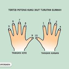 Jika dia sengaja memotong kuku atau bulu badan atau gunting rambut maka perbuatannya itu adalah makruh. Amalan Yang Boleh Dilakukan Pada Hari Jumaat Lima Minit
