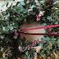 Modern Christmas Wreath Making Workshop event image