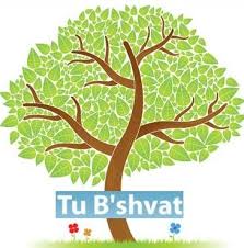 Tu bishvat or the new year of the trees is jewish arbor day. Celebrate Tu B Shvat A Zionist Holiday American Zionist Movement
