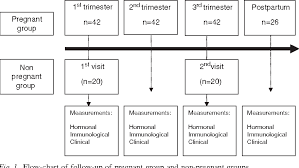 Figure 1 From Gingival Changes During Pregnancy I