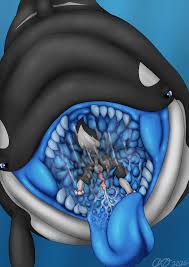 Orcaxdragon hentai videos, GIFs, and images | R34.app
