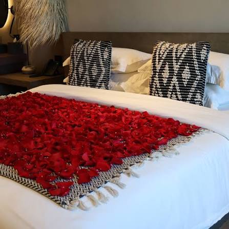 Bed of Roses – The O:live Experience