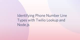 Free carrier lookup service enter a phone number and we'll return the carrier name and whether the number is wireless or landline. Identifying Phone Number Line Types With Twilio Lookup And Node Js