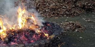 Pencemaran udara dibedakan menjadi pencemar primer dan pencemar sekunder. Jangan Membakar Sampah Daun Yang Berguguran Ini Sebabnya Halaman All Kompas Com