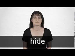 Beginners, geeks, youngsters, adults… lots of different people from around the world use hide.me everyday. Hide Definition Und Bedeutung Collins Worterbuch