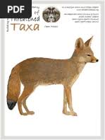 Image result for Microcharis angolensis