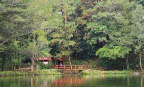 Wisata majalengka juga punya tempat yang menyediakan pemandangan danau memukau. Harga Tiket Masuk Telaga Remis Kuningan 2021 Sejarah Misteri Angker Alamat Villa Penginapan Jejakpiknik Com