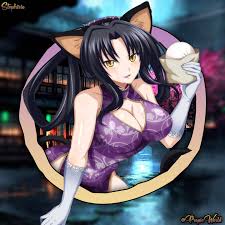 Senjutsu and youjutsu expert: kuroka is a very skilled senjutsu and youjutsu user, being able to create mirage copies of herself to throw her opponents off. High School Dxd Kuroka By Stephirio On Deviantart