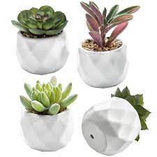 4.7 out of 5 stars 467. Mini Artificial Succulent Plants In Geometric Planter Pots Mygift