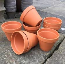 You'll want to choose terracotta pots with drainage holes, and pop in some grit for extra drainage. Terracotta Plant Pots 13cm Pack Of 10 Weston Mill Pottery Uk