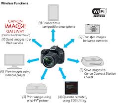 dslr eos 80d canon usa