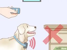 Maybe you would like to learn more about one of these? 4 Ways To Protect Furniture From Dogs Wikihow