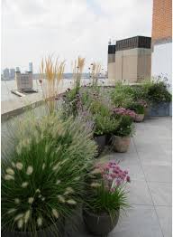 Lindsey Taylor Gardens Rooftop Gardens Plants Rooftop Taylor