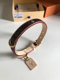 Louis Vuitton Dog Collar Replica Msu Program Evaluation