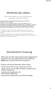 Die Entstehung Des Lebens Pdf Kostenfreier Download