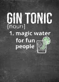 Gin Tonic Funny Definition Poster Print By Posterworld Displate In 2020 Gin And Tonic Funny Drinking Quotes Gin Quotes