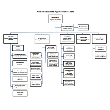 Sample Human Resources Organizational Chart 9 Documents