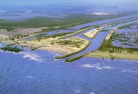 Deltas Et Estuaires Delta Du Rhone Camargue Camargue Rhone Wetland